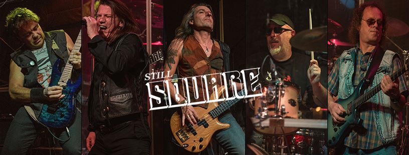 Still Square live concert atmosphere